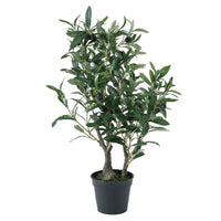 Imitation Olive Tree in Pot