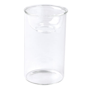 Mini Hydroponic Glass Flower Bulb Vase with Removable Dish - 4.3
