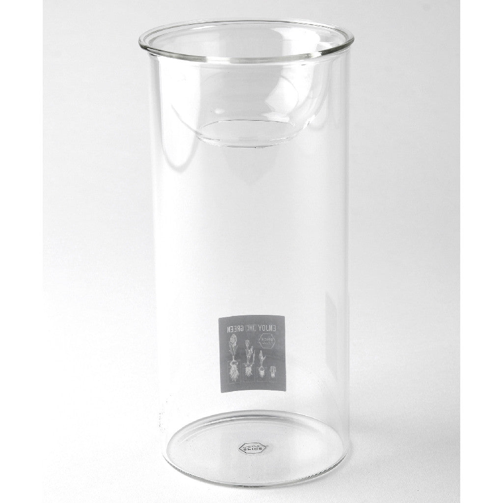 Hydroponic Glass Flower Bulb Vase with Removable Dish - Long