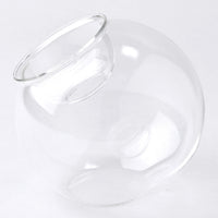 Hydroponic Glass Flower Bulb Vase with Removable Dish: Round Dome