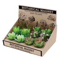 Botanical Magnets - Set of 12