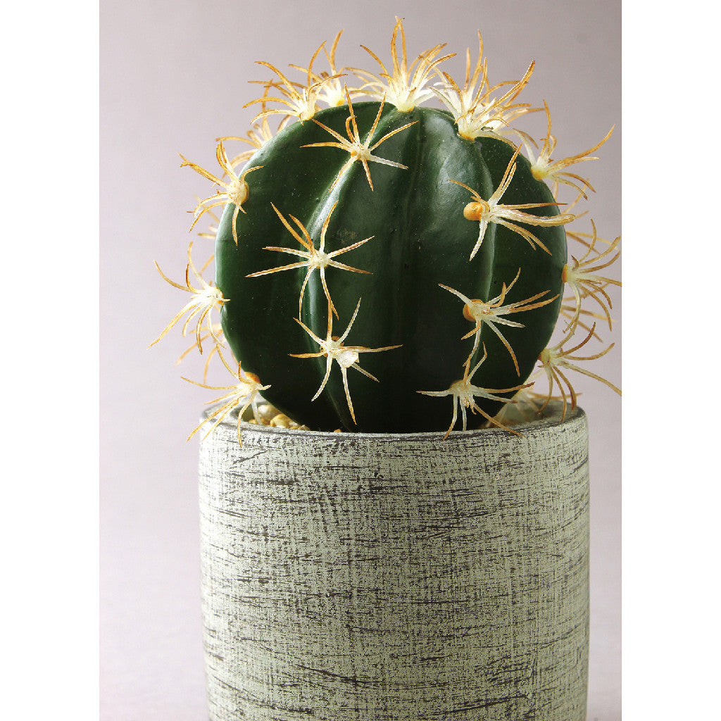 Imitation Barrel Cactus in Cement Pot - 2pc set